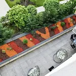 Cherr Cluj-Napoca